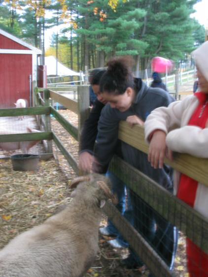 The girls pet the sheep