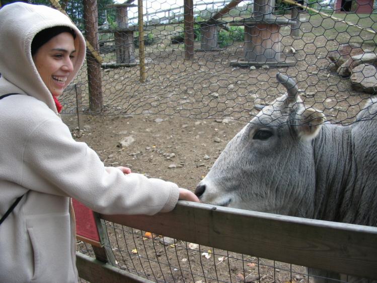 Ilham with the cow(?)