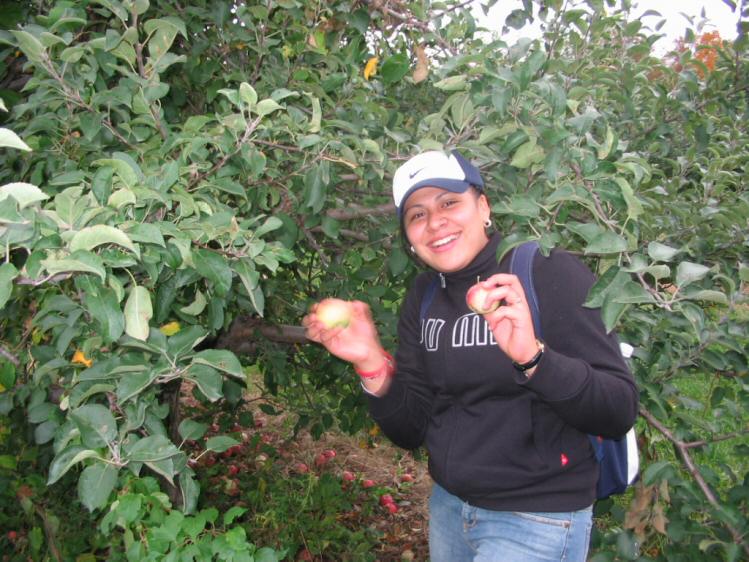 Guadalupe picks some apples