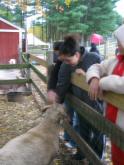 The girls pet the sheep