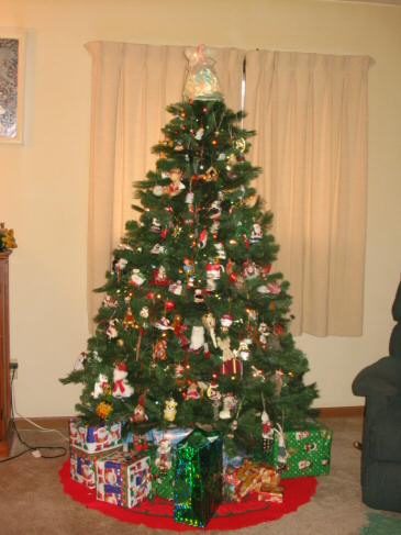 The Ervin 2005 Christmas tree