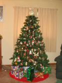 The Ervin 2005 Christmas tree