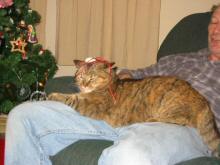 Ginger is our new present?