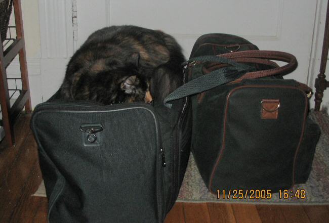joiabag