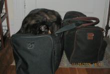 joiabag