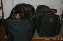 joiabags2