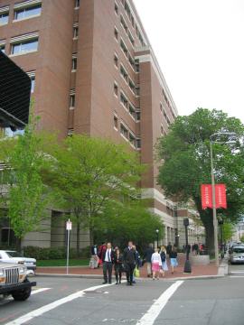 The School of Management, big, overpowering and cold